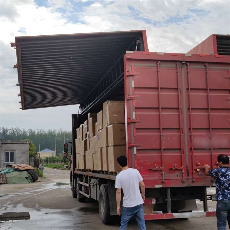 富民县扎囊县：物流专线的高效货运之旅